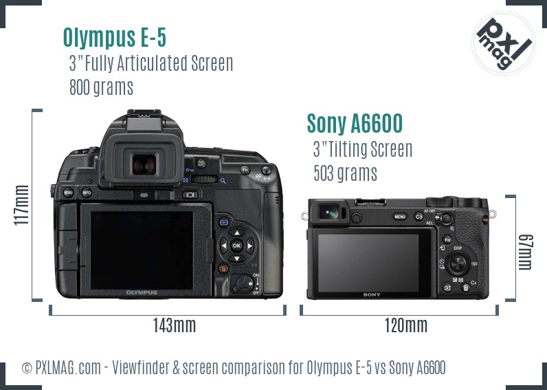 Olympus E-5 vs Sony A6600 Screen and Viewfinder comparison