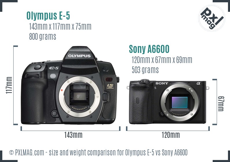 Olympus E-5 vs Sony A6600 size comparison