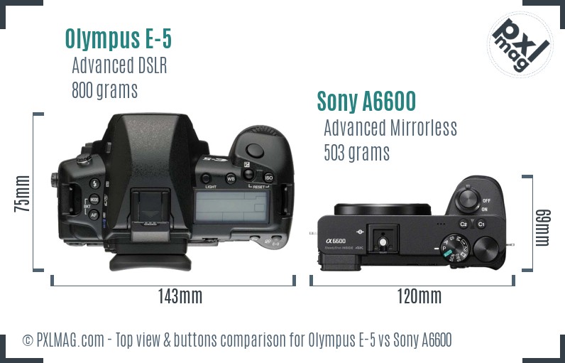 Olympus E-5 vs Sony A6600 top view buttons comparison