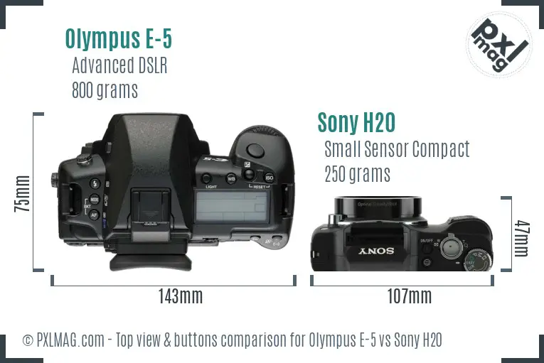 Olympus E-5 vs Sony H20 top view buttons comparison