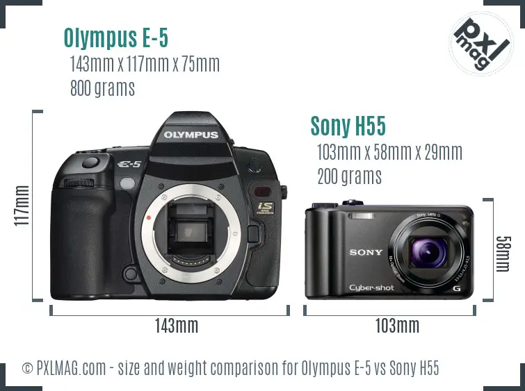 Olympus E-5 vs Sony H55 size comparison