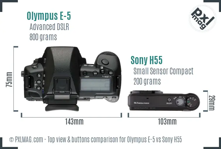 Olympus E-5 vs Sony H55 top view buttons comparison