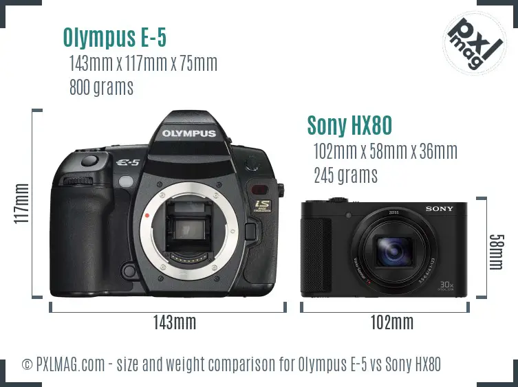 Olympus E-5 vs Sony HX80 size comparison