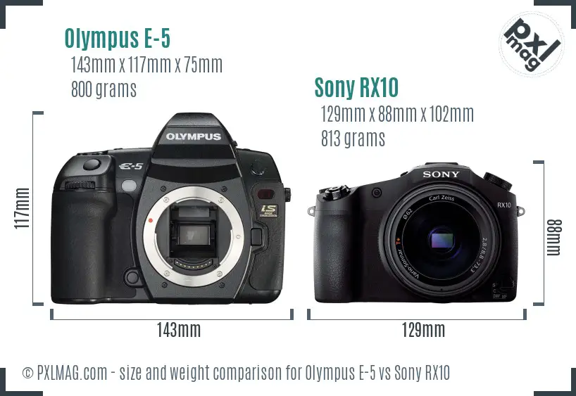 Olympus E-5 vs Sony RX10 size comparison