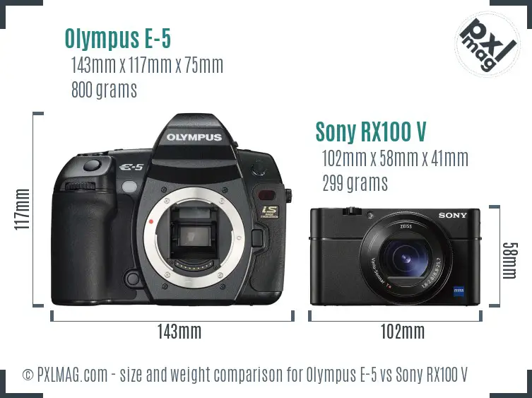 Olympus E-5 vs Sony RX100 V size comparison