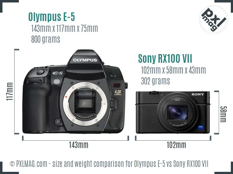 Olympus E-5 vs Sony RX100 VII size comparison