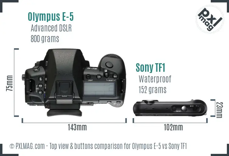 Olympus E-5 vs Sony TF1 top view buttons comparison