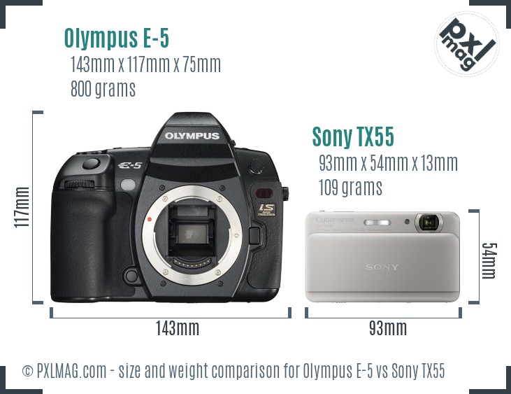Olympus E-5 vs Sony TX55 size comparison