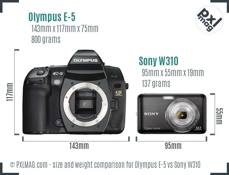 Olympus E-5 vs Sony W310 size comparison