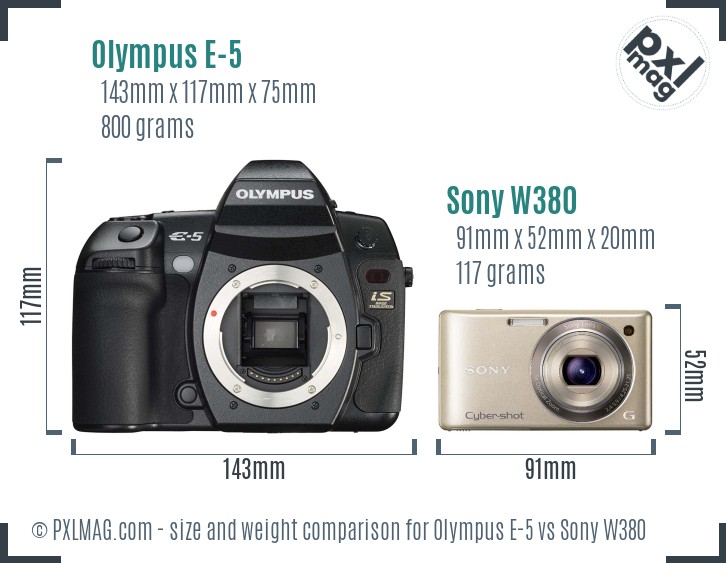 Olympus E-5 vs Sony W380 size comparison Olympus E-5 vs Sony W380 size comparison
