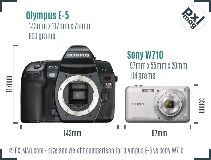 Olympus E-5 vs Sony W710 size comparison