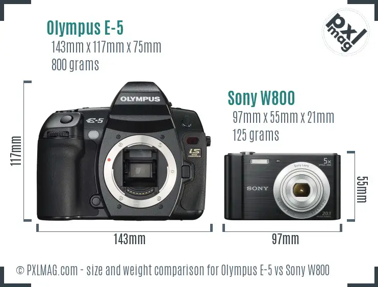 Olympus E-5 vs Sony W800 size comparison