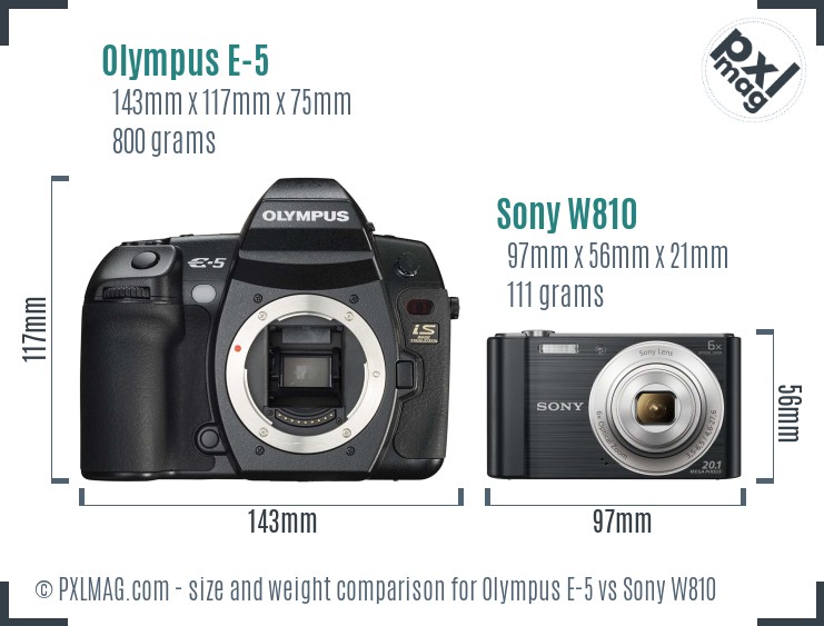 Olympus E-5 vs Sony W810 size comparison