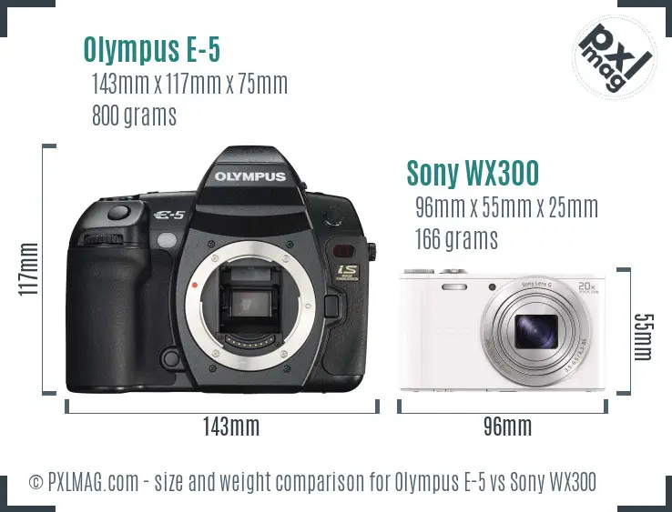 Olympus E-5 vs Sony WX300 size comparison