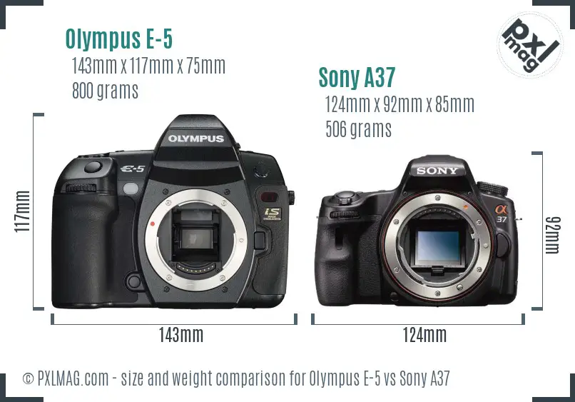 Olympus E-5 vs Sony A37 size comparison