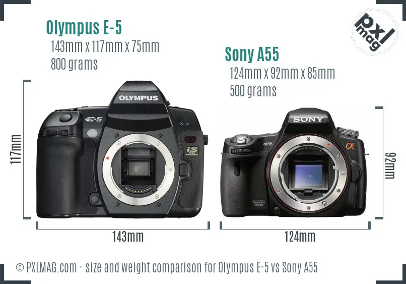 Olympus E-5 vs Sony A55 size comparison