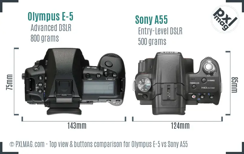 Olympus E-5 vs Sony A55 top view buttons comparison