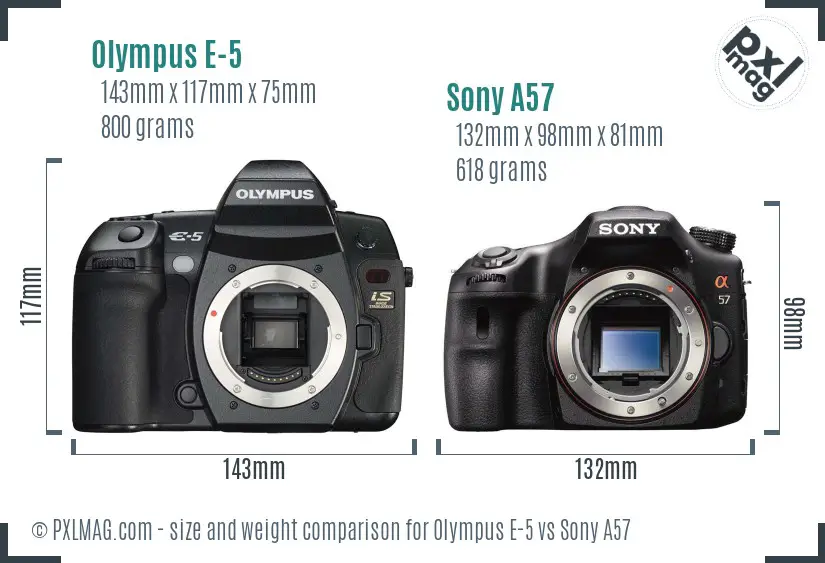 Olympus E-5 vs Sony A57 size comparison Olympus E-5 vs Sony A57 size comparison