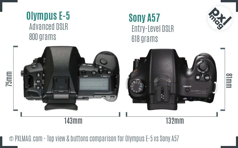 Olympus E-5 vs Sony A57 top view buttons comparison Olympus E-5 vs Sony A57 top view buttons comparison