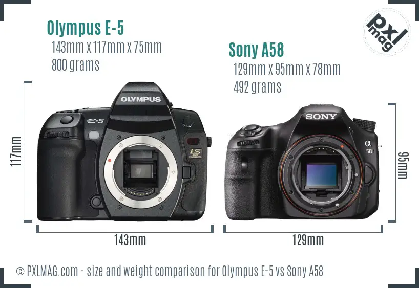 Olympus E-5 vs Sony A58 size comparison