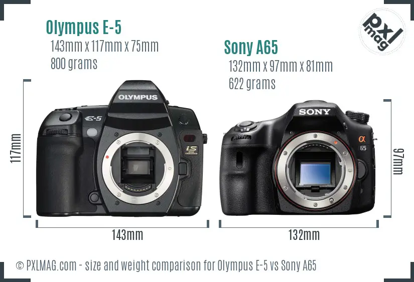 Olympus E-5 vs Sony A65 size comparison