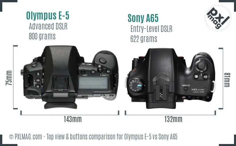 Olympus E-5 vs Sony A65 top view buttons comparison