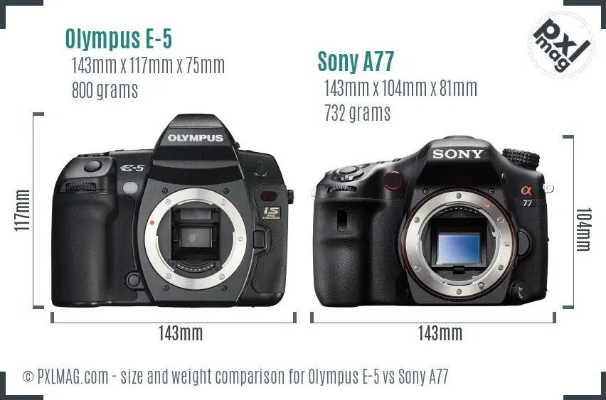 Olympus E-5 vs Sony A77 size comparison