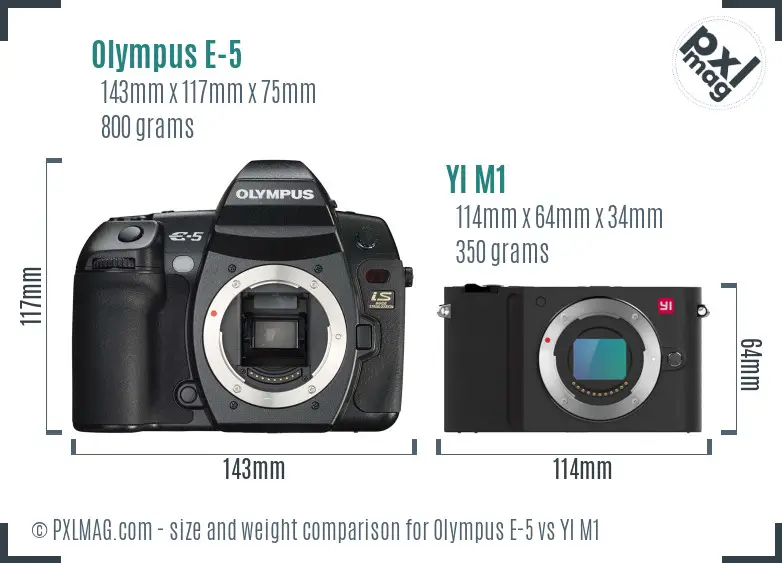 Olympus E-5 vs YI M1 size comparison