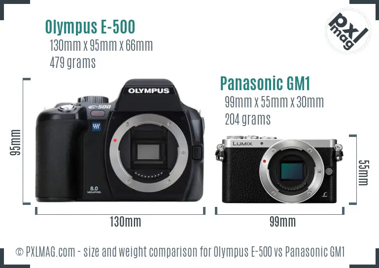 Olympus E-500 vs Panasonic GM1 size comparison