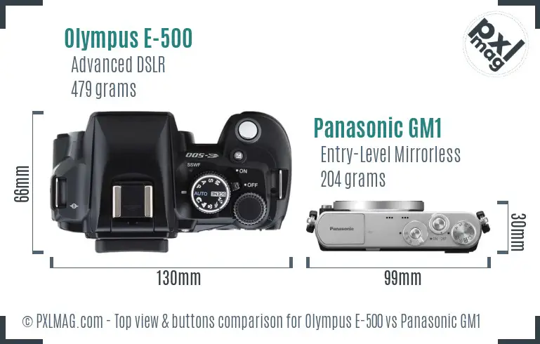 Olympus E-500 vs Panasonic GM1 top view buttons comparison