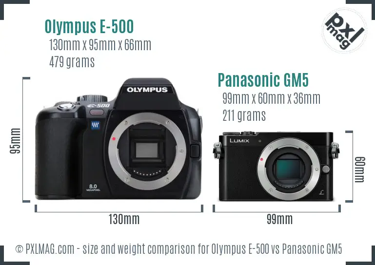 Olympus E-500 vs Panasonic GM5 size comparison