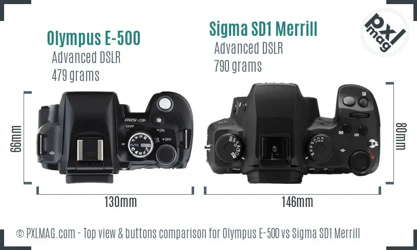 Olympus E-500 vs Sigma SD1 Merrill top view buttons comparison