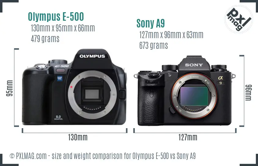 Olympus E-500 vs Sony A9 size comparison