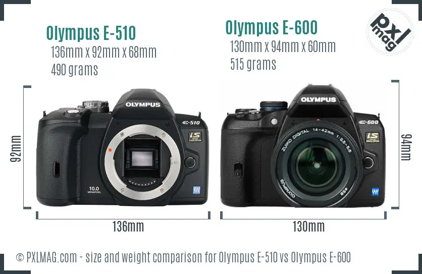 Olympus E-510 vs Olympus E-600 size comparison