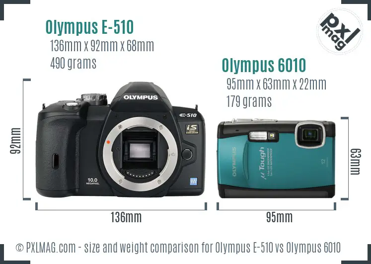 Olympus E-510 vs Olympus 6010 size comparison