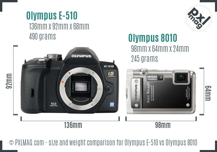 Olympus E-510 vs Olympus 8010 size comparison
