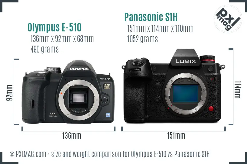 Olympus E-510 vs Panasonic S1H size comparison