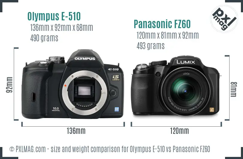 Olympus E-510 vs Panasonic FZ60 size comparison