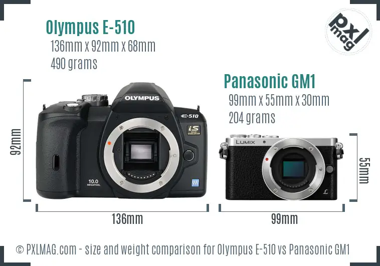 Olympus E-510 vs Panasonic GM1 size comparison