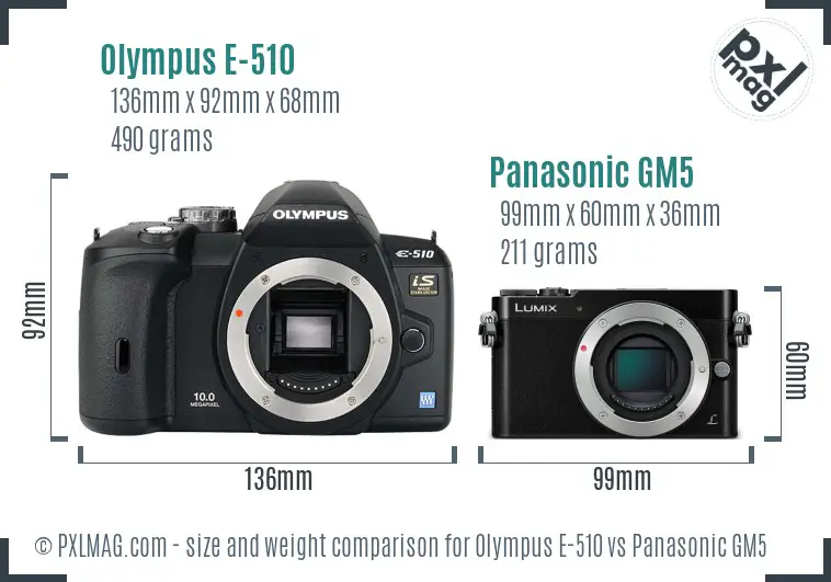 Olympus E-510 vs Panasonic GM5 size comparison