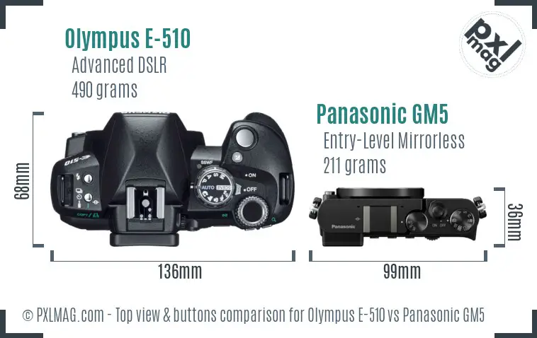 Olympus E-510 vs Panasonic GM5 top view buttons comparison