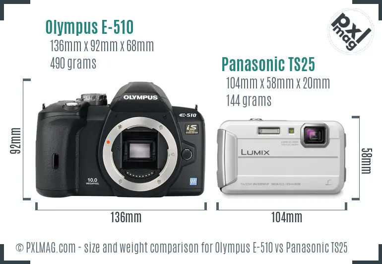 Olympus E-510 vs Panasonic TS25 size comparison