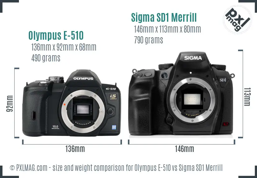 Olympus E-510 vs Sigma SD1 Merrill size comparison