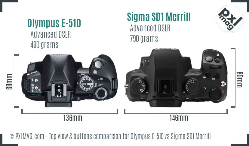 Olympus E-510 vs Sigma SD1 Merrill top view buttons comparison