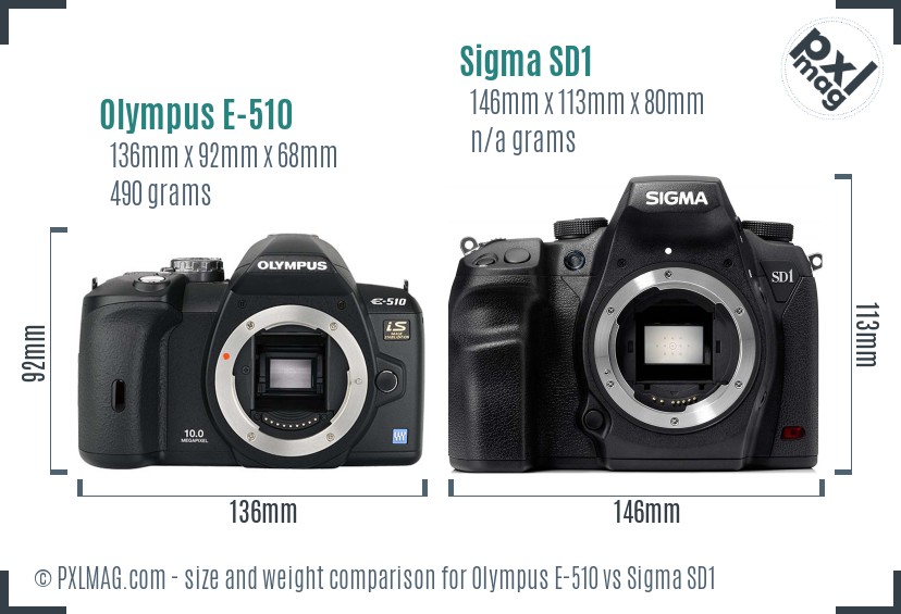 Olympus E-510 vs Sigma SD1 size comparison