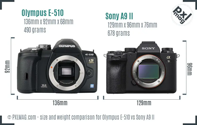 Olympus E-510 vs Sony A9 II size comparison