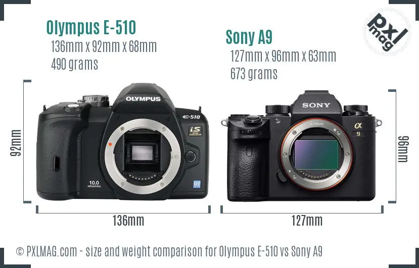 Olympus E-510 vs Sony A9 size comparison