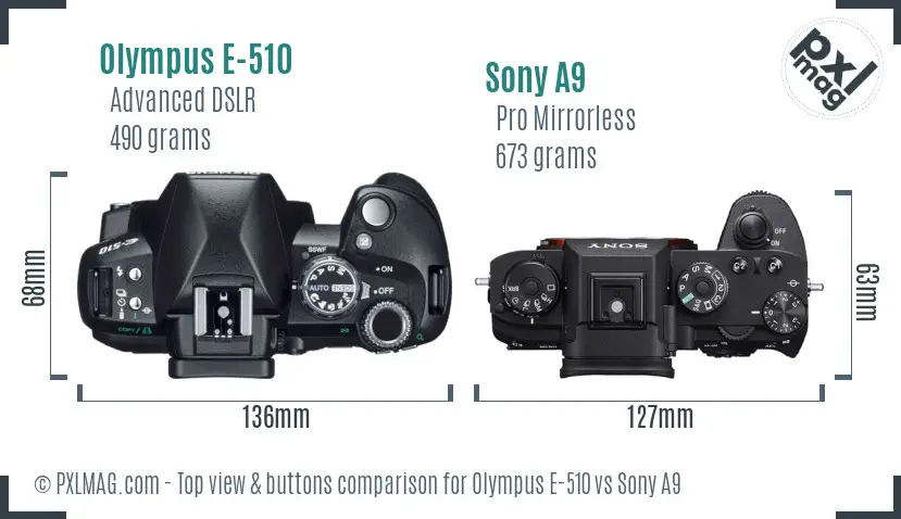 Olympus E-510 vs Sony A9 top view buttons comparison