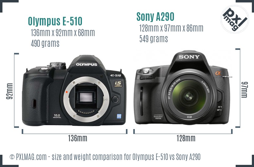 Olympus E-510 vs Sony A290 size comparison