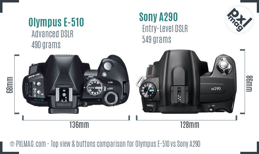 Olympus E-510 vs Sony A290 top view buttons comparison